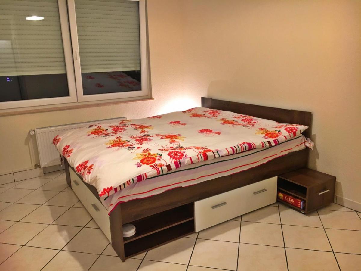 Cozy Studio Apart - King Bed - Netflix - Projector - Fast Wi-Fi Luxembourg Exterior photo