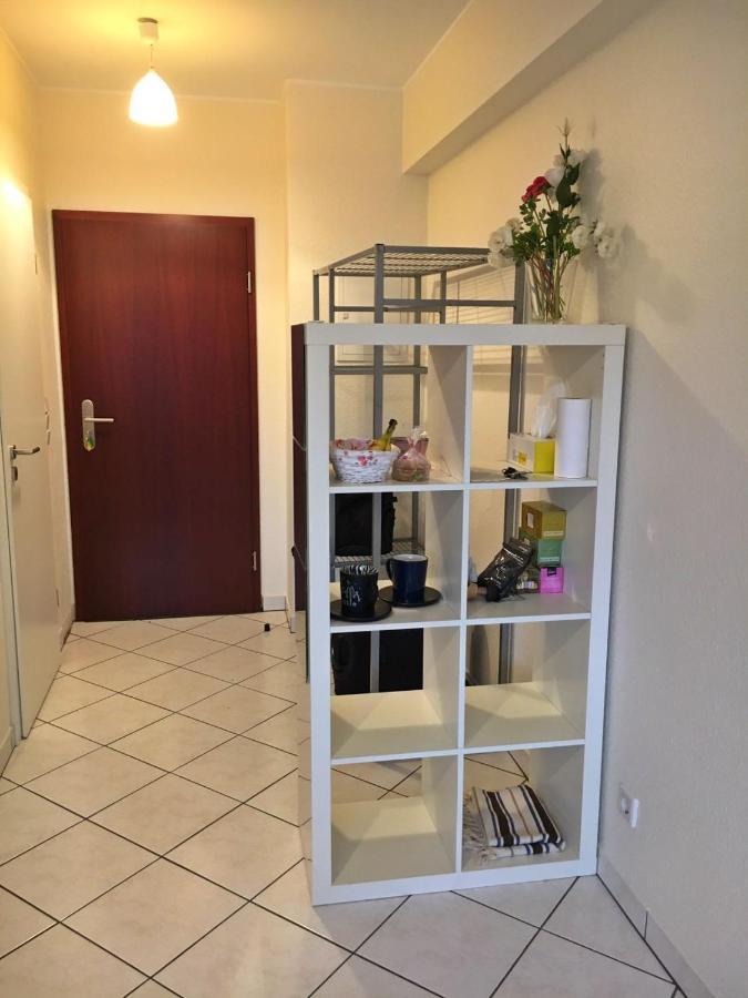 Cozy Studio Apart - King Bed - Netflix - Projector - Fast Wi-Fi Luxembourg Exterior photo